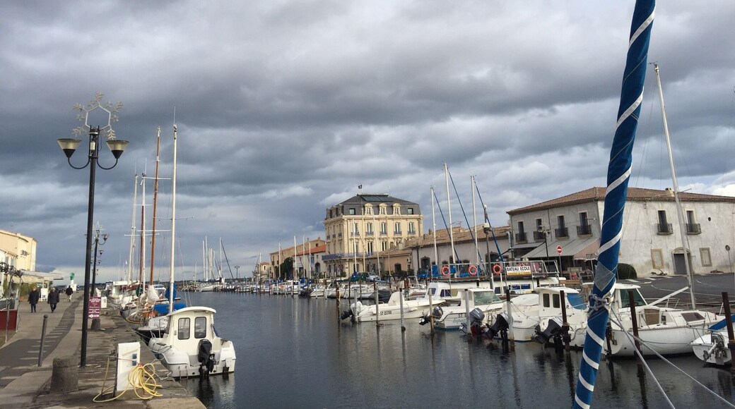 Brasserie With good wine