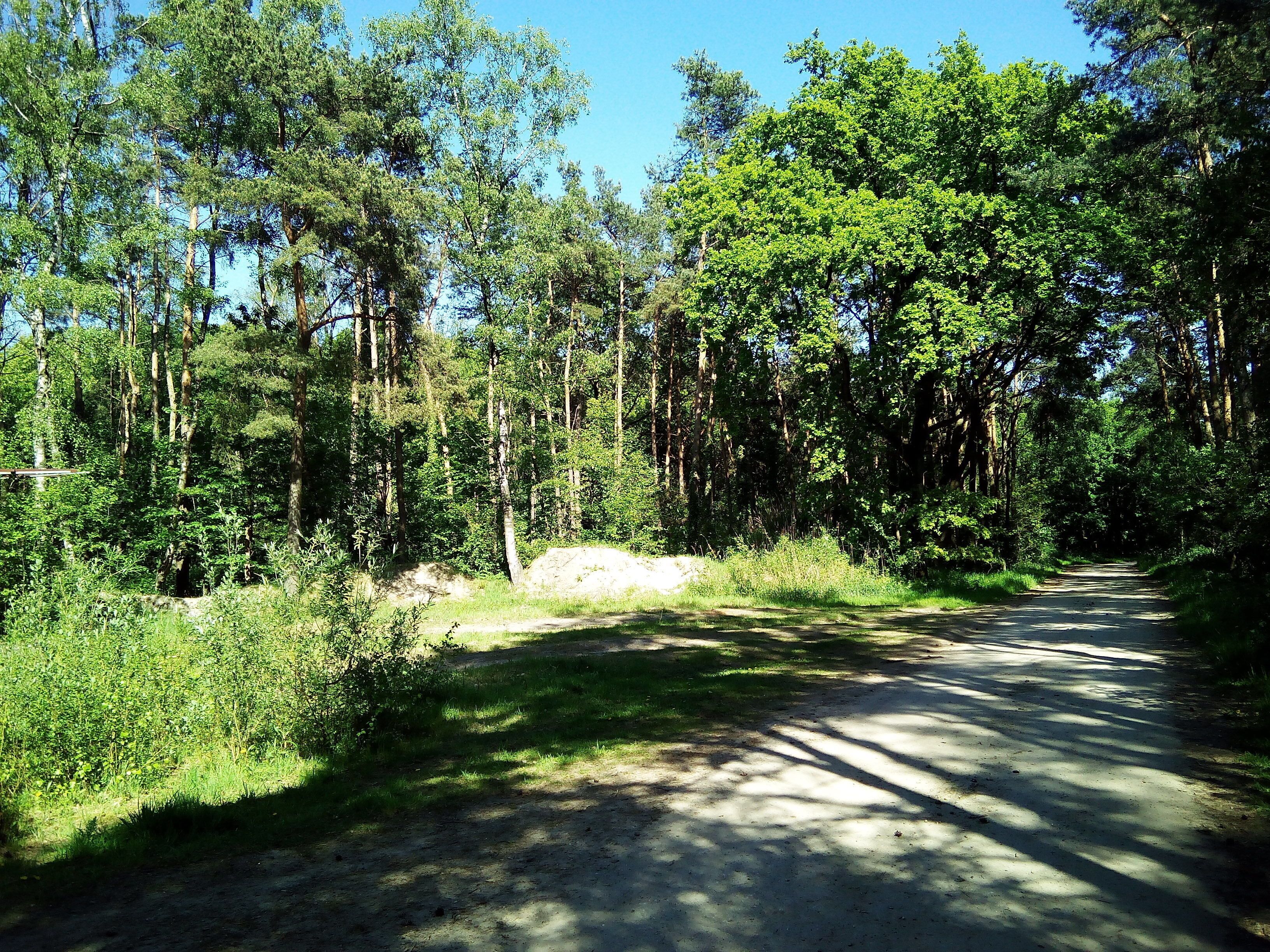 Emsradweg zw. Elte und Emsetten. Das Foto zeigt eine unberührte Natur. Einziger Hinweis auf menschl. eingreifen ist der Weg. Das Foto wirkt beruhigend. Landschaftsschutzgebiet „Elter Sand“ in Rheine