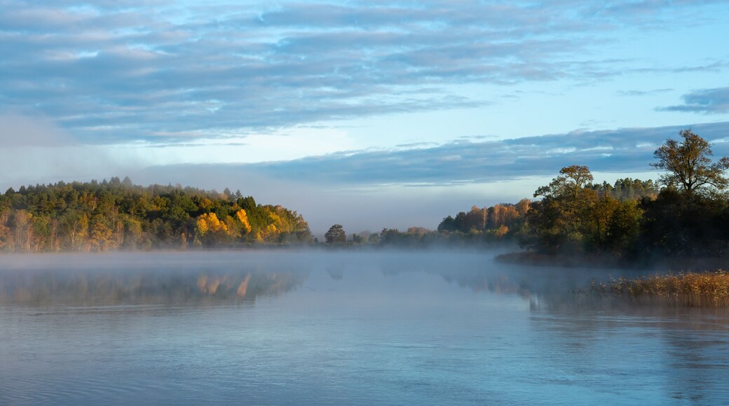 Calm lake surrounded by trees under a cloudy sky in Floda, Sweden