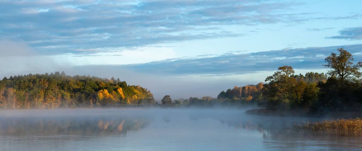 A calm lake with mist, surrounded by autumn-colored trees and a clear sky.