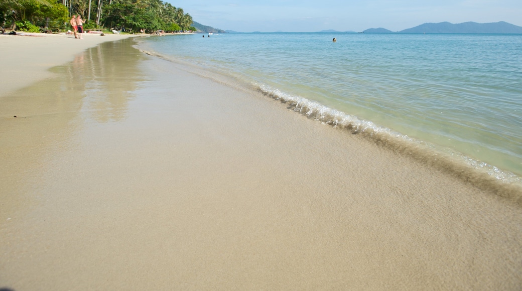 Tailandia ofreciendo vistas generales de la costa, escenas tropicales y una playa