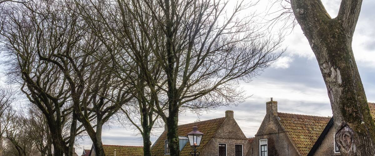A row of traditional brick houses with steeply pitched roofs, surrounded by leafless trees and a well-maintained lawn.