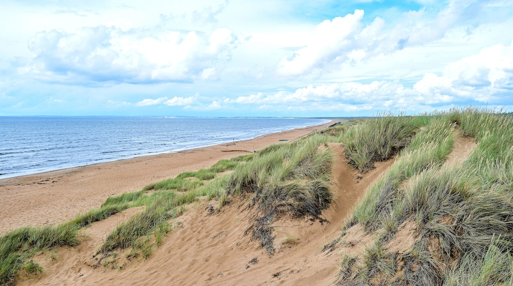 梅爾比斯特蘭德