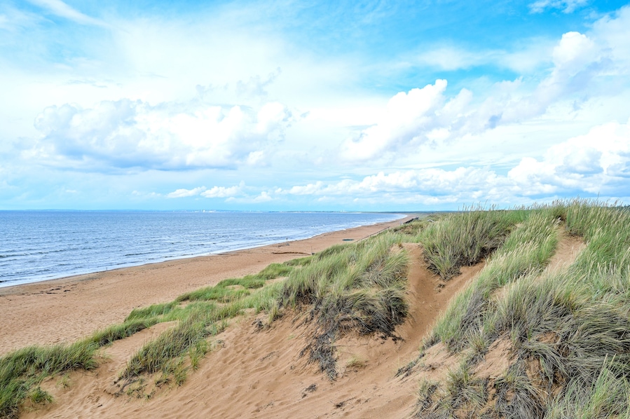 Laholm Bay Beach, Laholmsbuktens beach, the longest sandy beach in Sweden with beautiful dunes and meadows and a view of the sea in summer, Mellbystrand, Halland, Sweden