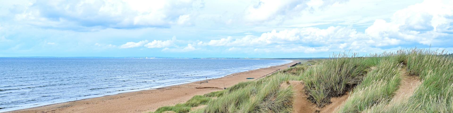 Laholm Bay Beach, Laholmsbuktens beach, the longest sandy beach in Sweden with beautiful dunes and meadows and a view of the sea in summer, Mellbystrand, Halland, Sweden