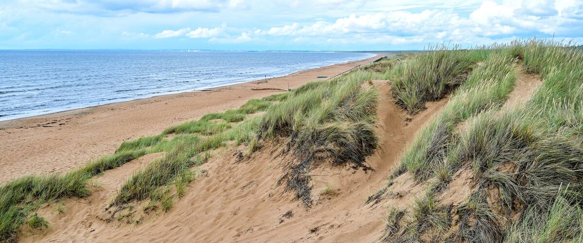 A sandy beach with grassy dunes and a clear blue sky.