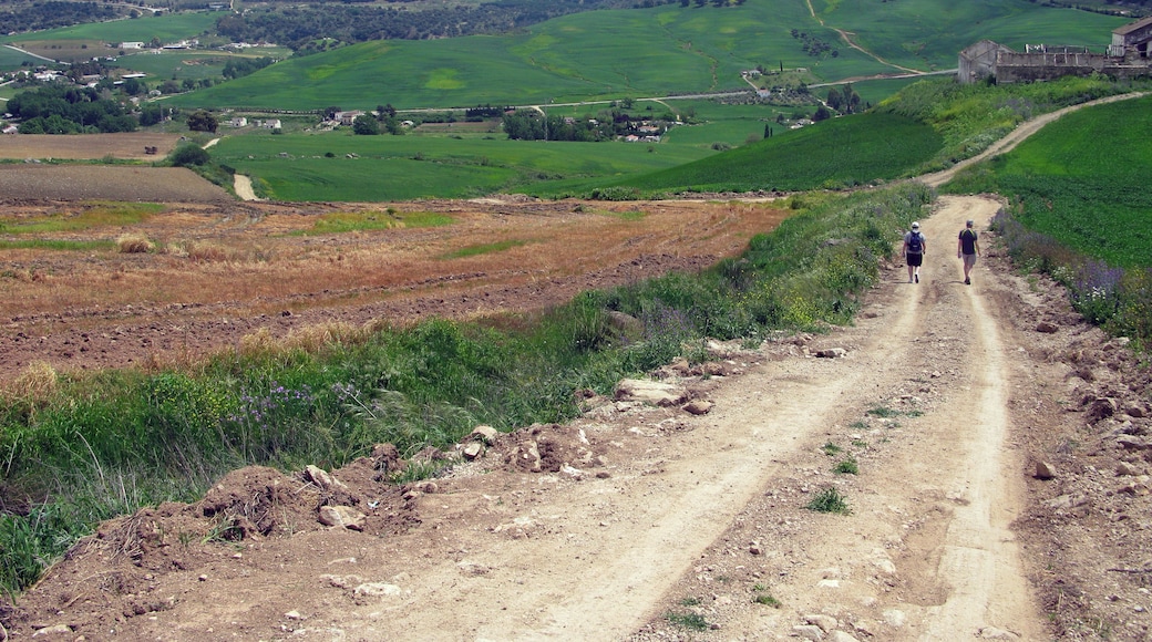 Montejaque to Ronda 02