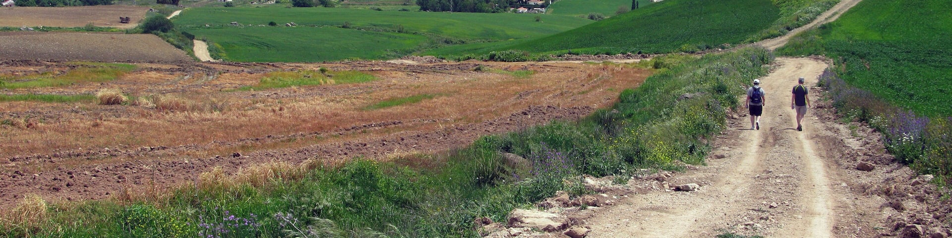 Montejaque to Ronda 02