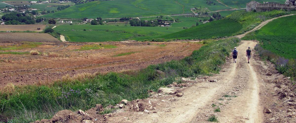 A dirt path through a rural landscape with green fields, a distant castle, and rolling hills.