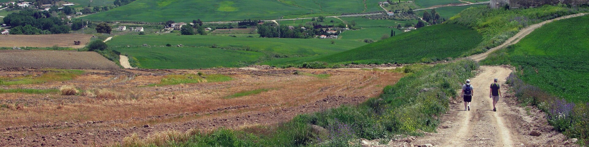 A dirt path through a rural landscape with green fields, a distant castle, and rolling hills.