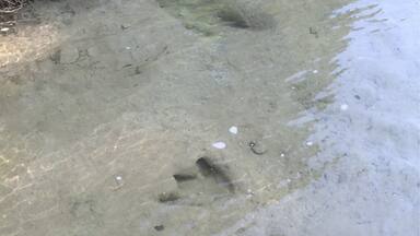 Simply has to be one of the most captivating parks we have been to as a family.
It is very much off the beaten path from anywhere sizable, but well worth the drive.