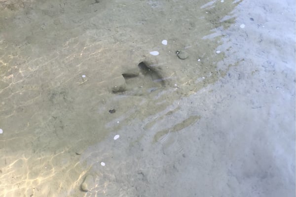 Simply has to be one of the most captivating parks we have been to as a family.
It is very much off the beaten path from anywhere sizable, but well worth the drive.