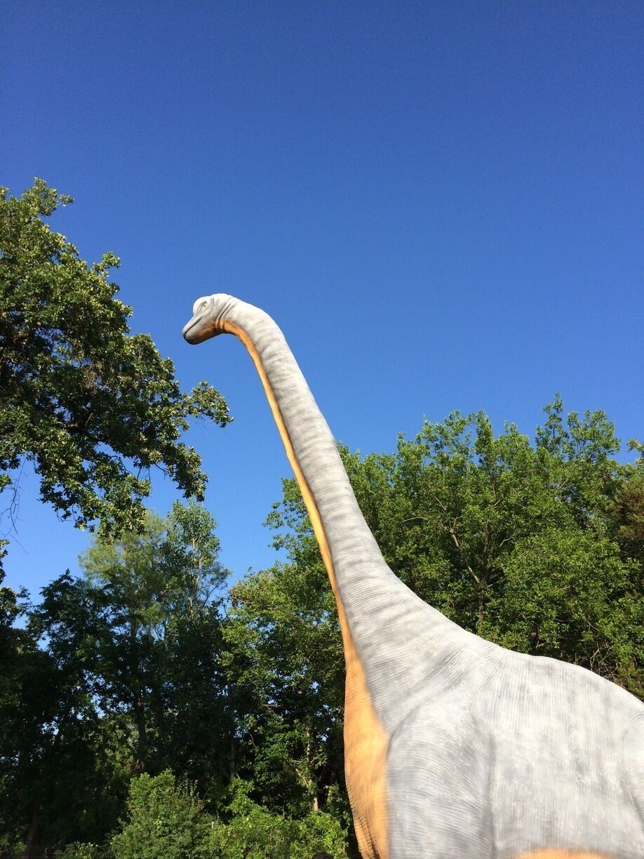 The Fossil Rim Wildlife Centre had this giant Diplodocus at the entrance. The kids loved the life sized almost real looking model!!
#localgem 