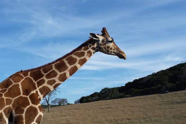 A great place to see animals up close. They'll feed from your hands, too. And a great place for close up photos.