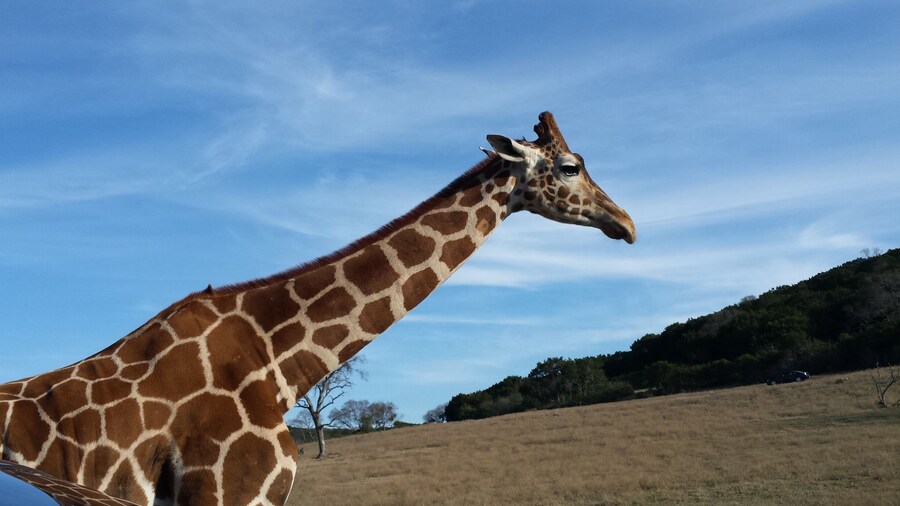 A great place to see animals up close. They'll feed from your hands, too. And a great place for close up photos.