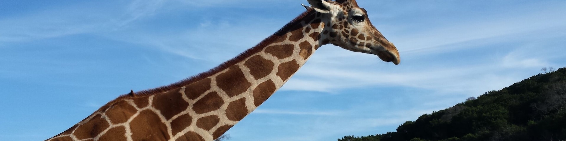 A great place to see animals up close. They'll feed from your hands, too.  And a great place for close up photos.