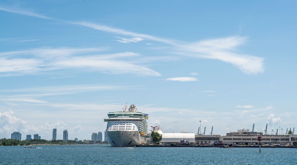 EyeEm Custom Shoots Q4 2018