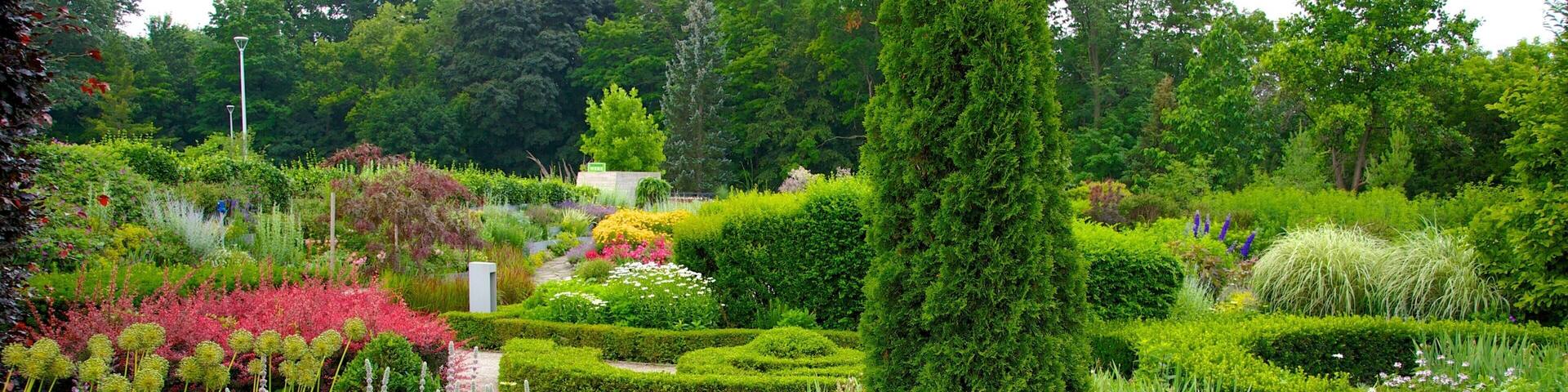 Toronto Botanical Garden featuring a park