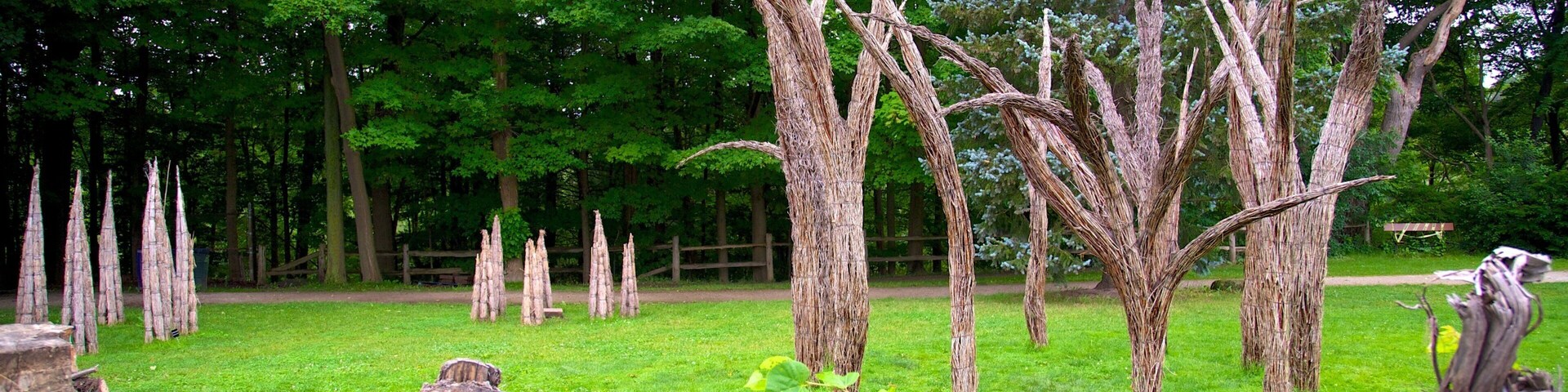 Toronto Botanical Garden which includes a garden