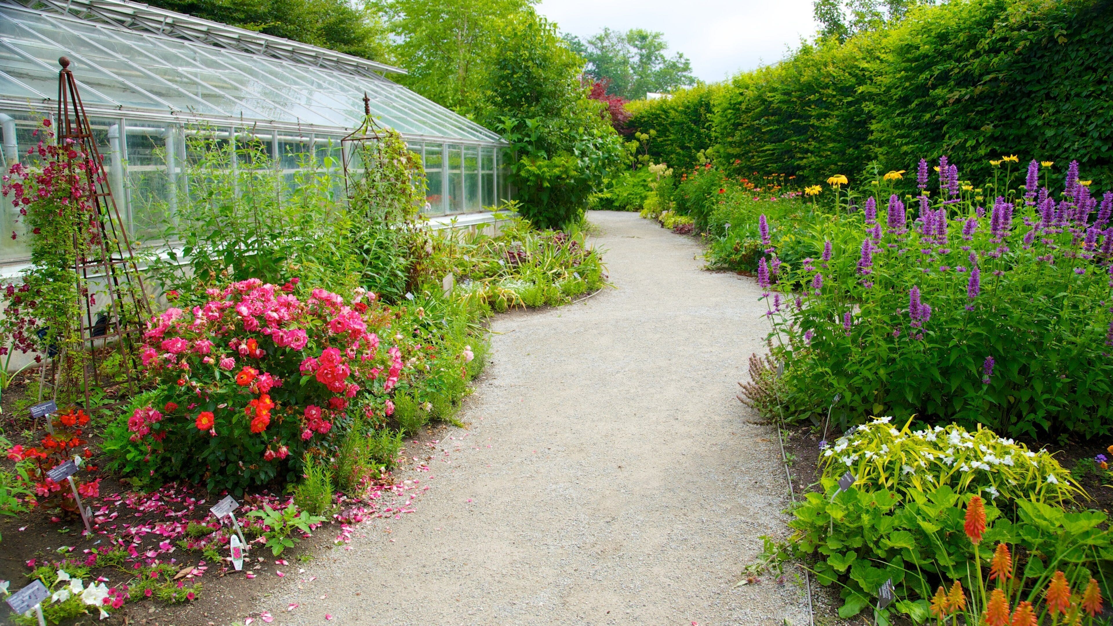Toronto Botanical Garden featuring a garden and flowers