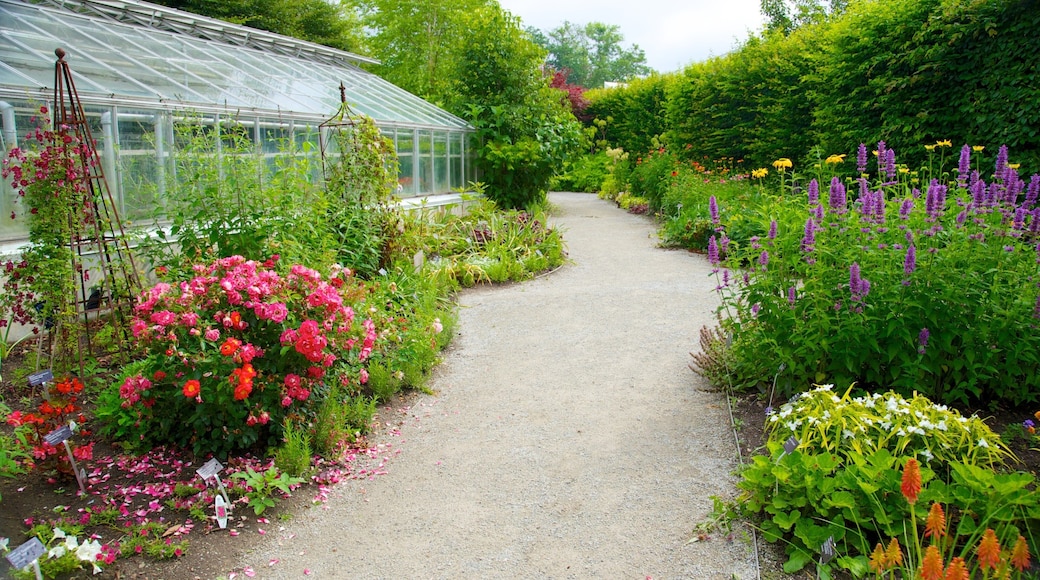 Toronto Botanical Garden featuring a garden and flowers