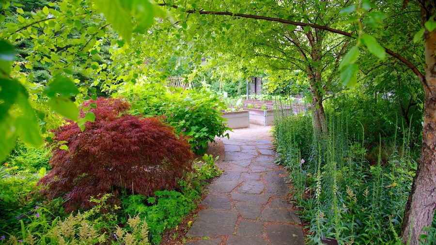 Toronto Botanical Garden which includes a park