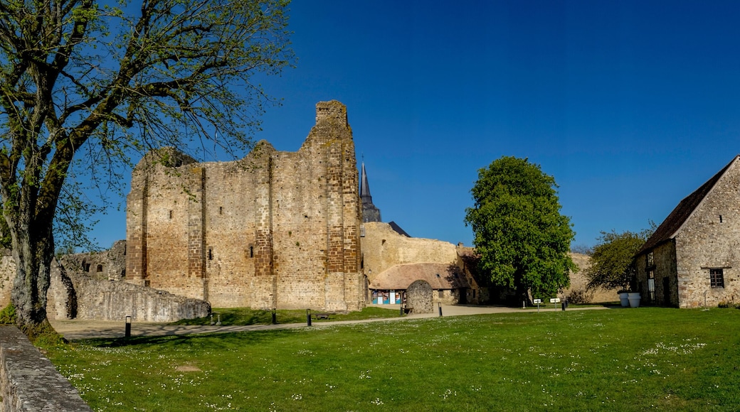 Sainte-Suzanne-et-Chammes