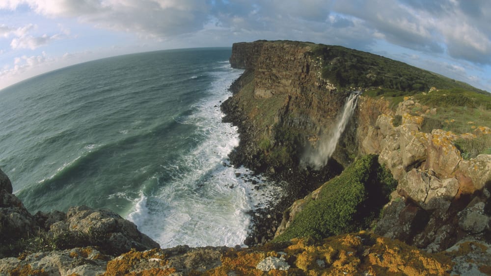 Une falaise côtière avec une cascade, des vagues de l’océan et un terrain rocheux.