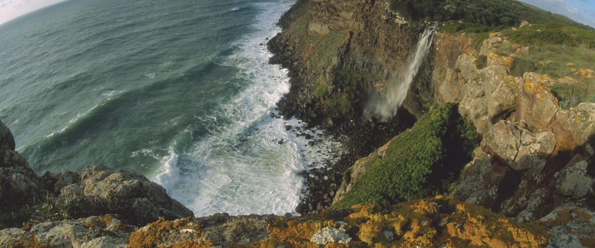 A coastal cliff with a waterfall, ocean waves, and rocky terrain.