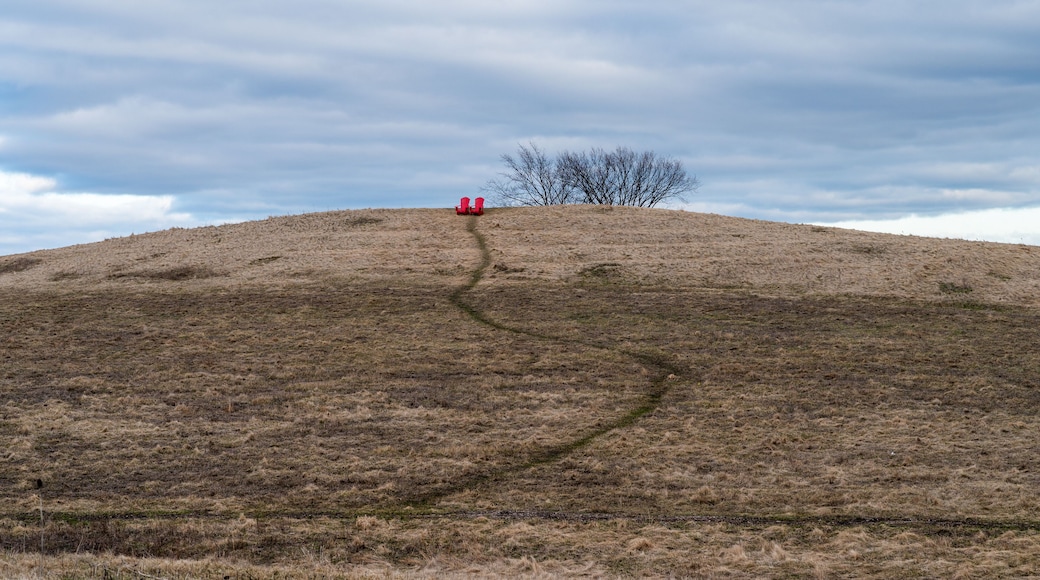 Downsview park in Toronto, Canada