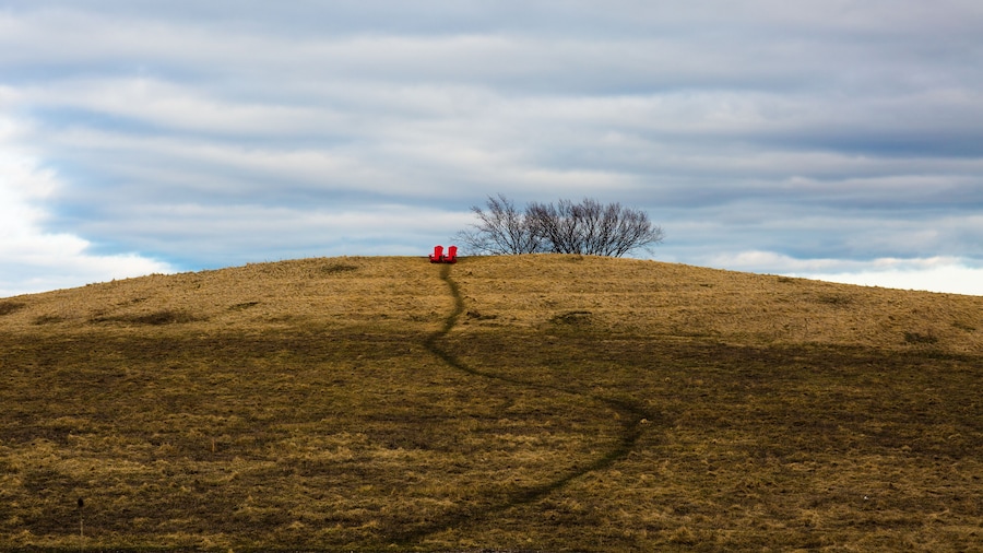 Peaceful scene with a narrow path leading to lonely bare trees in Downsview Park, Toronto, Canada