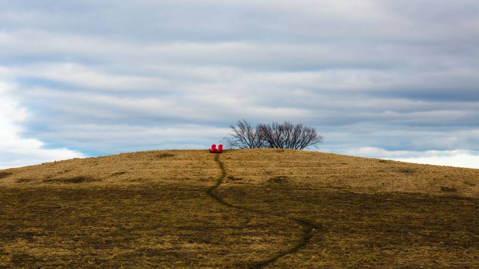 Ein grasbewachsener Hügel mit einem Baum und zwei roten Objekten auf der Spitze.