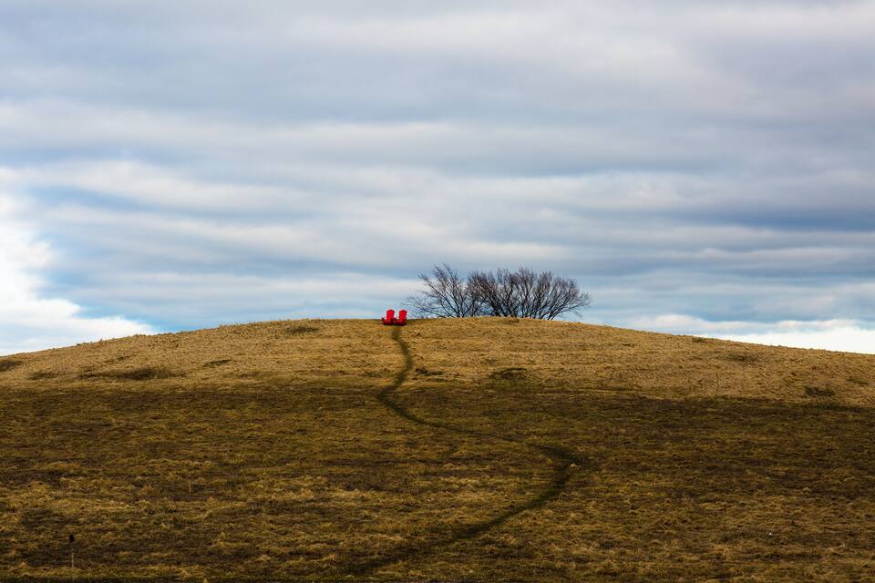 Una colina cubierta de hierba con un árbol y dos objetos rojos en la cima.