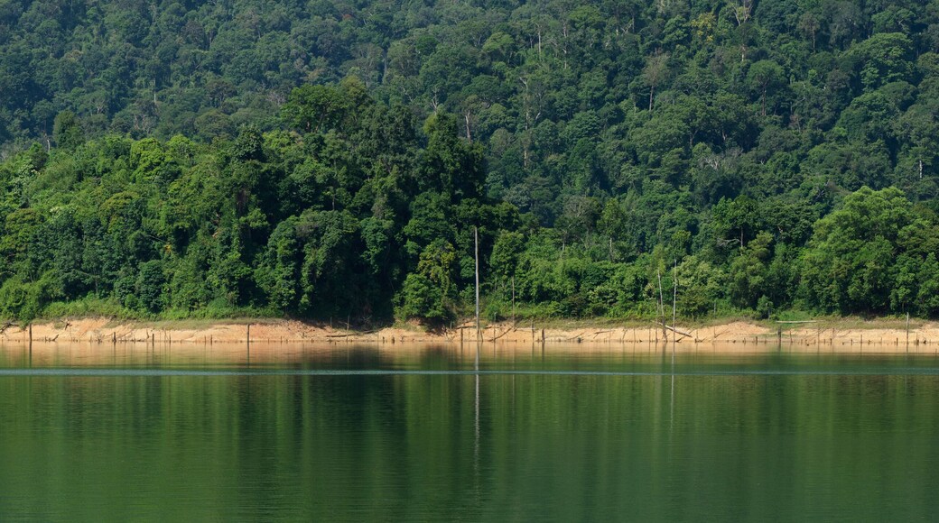 Beautiful image of rain-forest with reflection in water at Royal Belum State Park, Gerik Perak Malaysia.