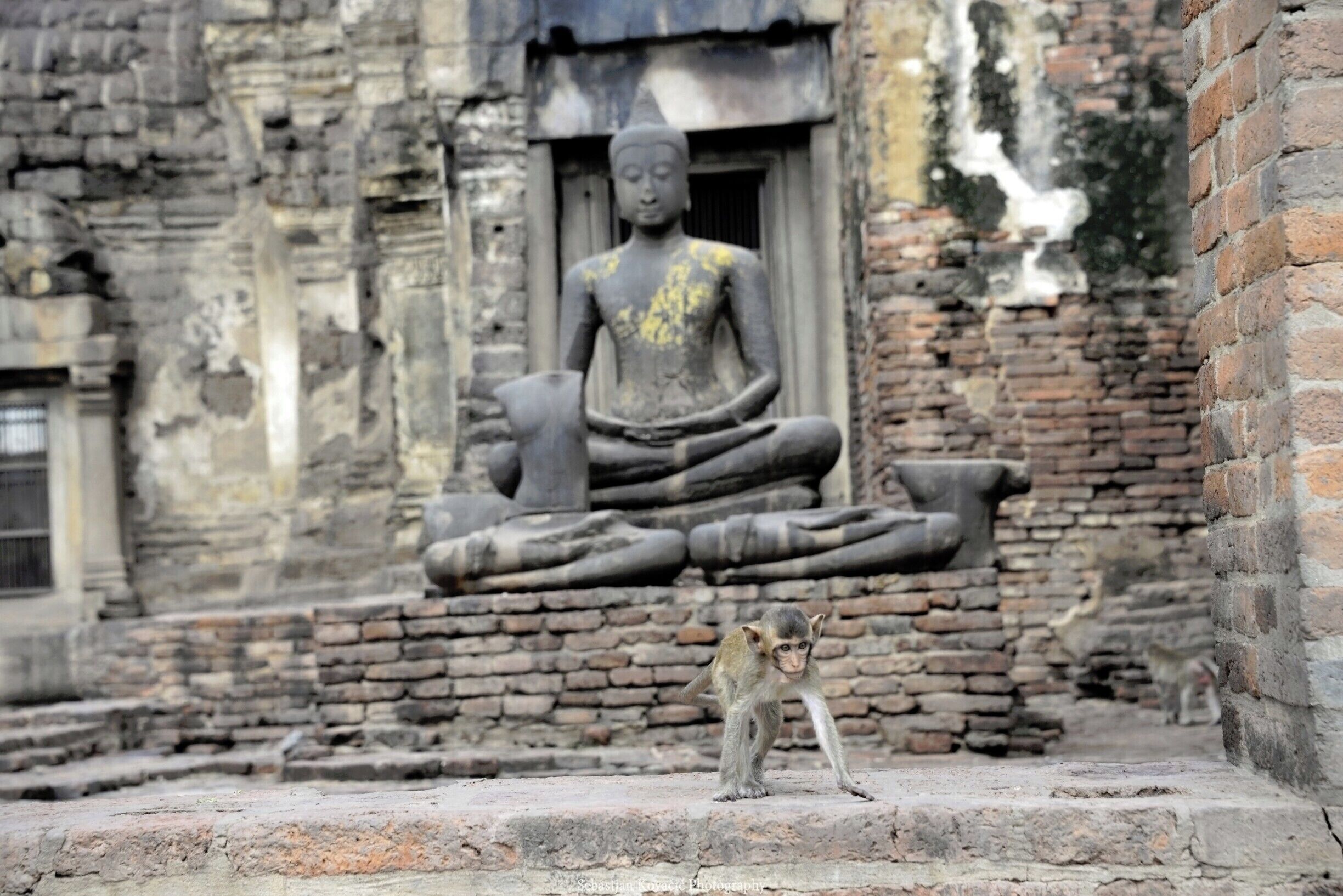 #Monkey #Temple #Lopburi #Thai #Travel

#Thailand #Backpacking #TravelPhotography 


See you also on Instagram: ExploreWithSeba 