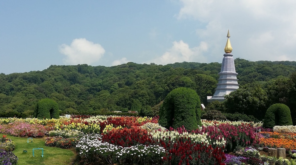 Doi Inthanon Day Trip
•highest mountaintop in Thailand
•tribute to King and Queen
•beautifully manicured gardens on each side
•cool morning, relaxing, colorful, unique
•must do day trip when in Chiang Mai ☆☆☆