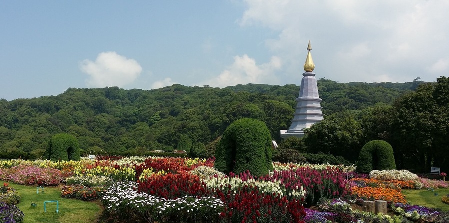 Doi Inthanon Day Trip
•highest mountaintop in Thailand
•tribute to King and Queen
•beautifully manicured gardens on each side
•cool morning, relaxing, colorful, unique
•must do day trip when in Chiang Mai ☆☆☆