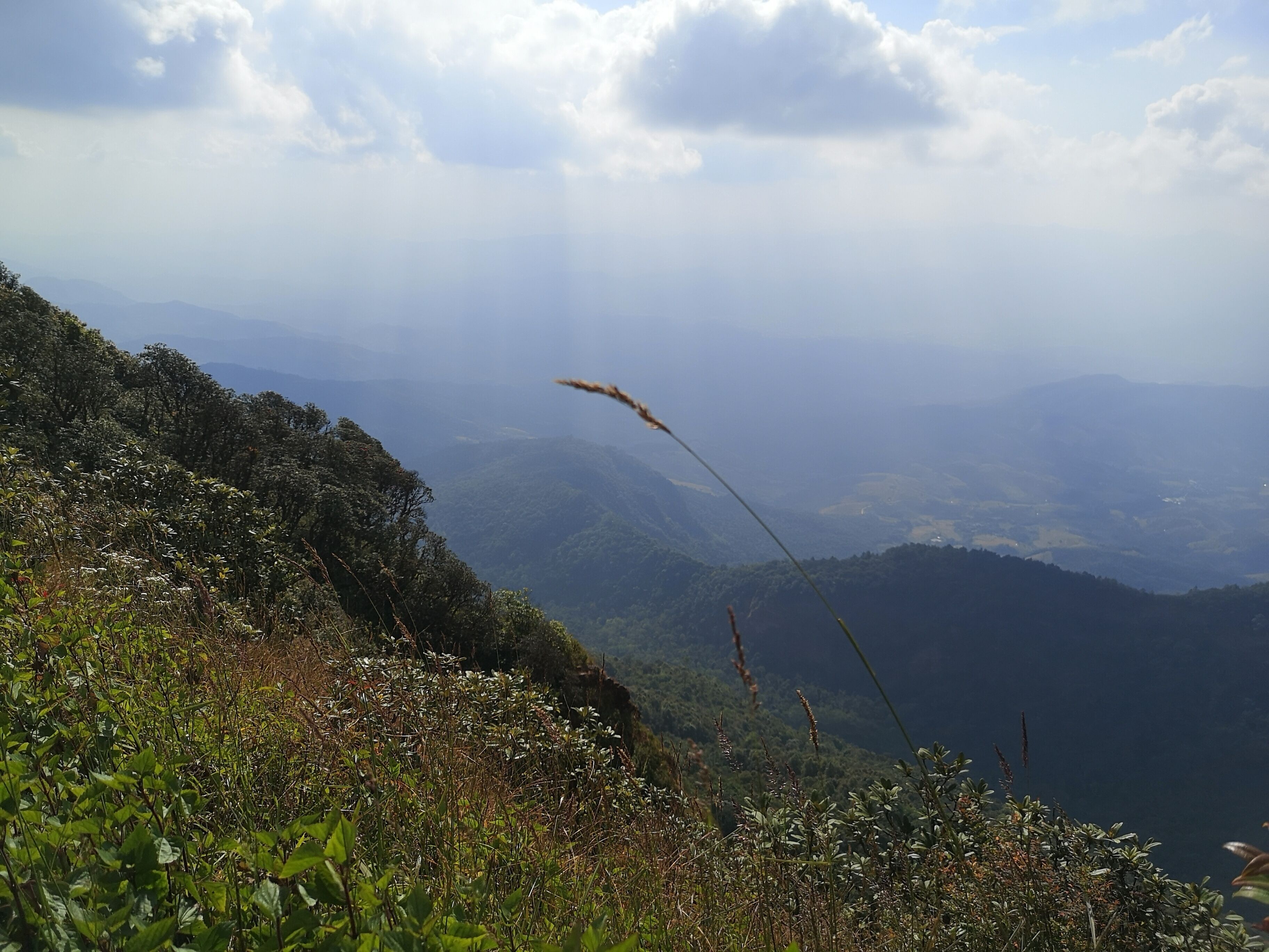 #LifeAtExpediaGroup

Views the eye can't get enough of!! Mountain sky and forest combined in the best possible analogy..