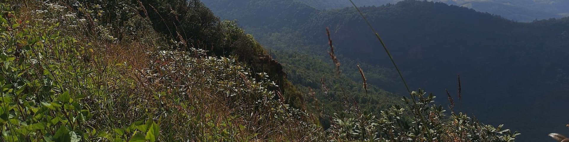 A mountainous landscape with dense vegetation and a clear sky.