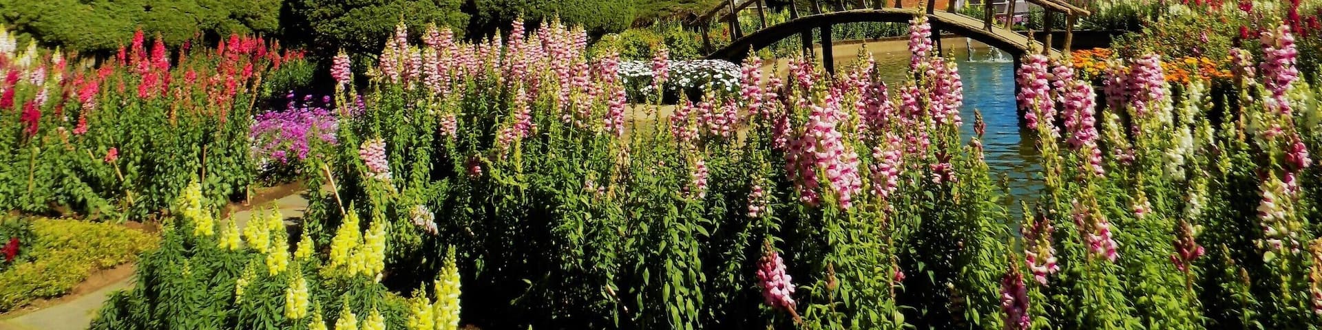 Pagoda temple on top of Doi Inthanon National Park, built for the Queen's 60th birthday.
Incredible gardens surround the pagoda.