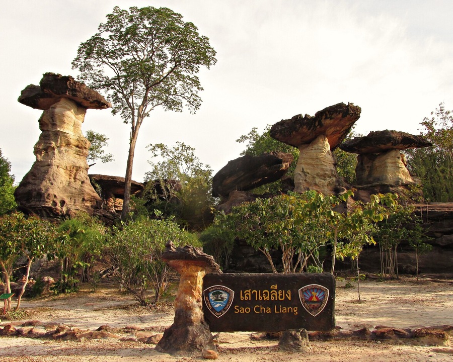 Sao Cha Liang, cool mushroom-shaped rock formations in Pha Taem National Park. Looking like something out of the old Road Runner cartoons, this area was filled with inspired artists trying to recreate them on canvas.
These can be found in other areas of Isan (such as in Mukdahan National Park a bit further north), but being able to also see ancient rock paintings and the first sunrise over Thailand make this park a great destination.
#thailand #phataem #nationalpark