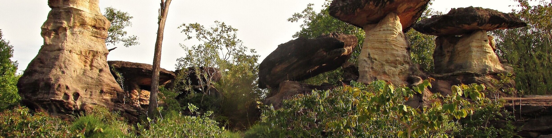 Sao Cha Liang, cool mushroom-shaped rock formations in Pha Taem National Park.  Looking like something out of the old Road Runner cartoons, this area was filled with inspired artists trying to recreate them on canvas.
  
These can be found in other areas of Isan (such as in Mukdahan National Park a bit further north), but being able to also see ancient rock paintings and the first sunrise over Thailand make this park a great destination.
#thailand #phataem #nationalpark