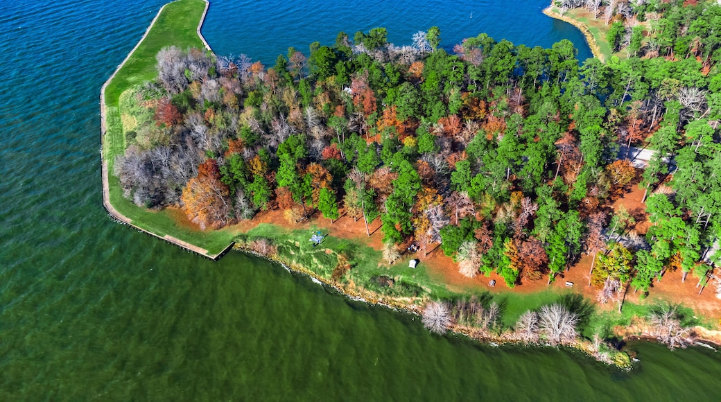 Aerial view of lake livingston state park, Texas, USA.- landscape images