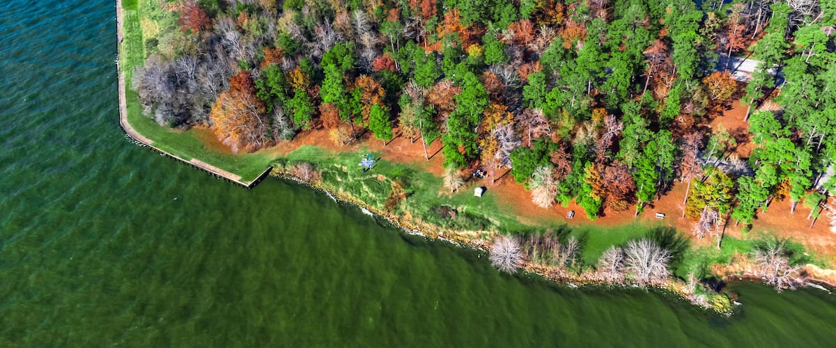 An aerial view of a coastal area with a mix of green and autumn-colored trees, a clear blue sea, and a small peninsula with a dock.