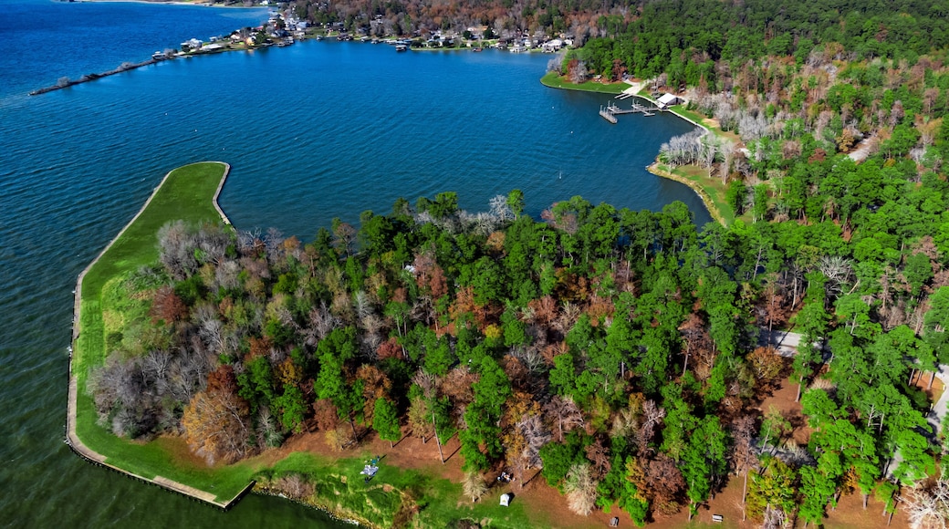 Aerial view of lake livingston state park, Texas, USA.- landscape images