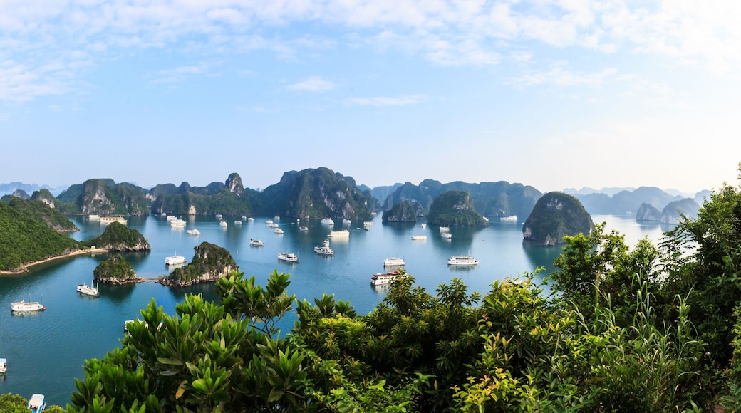 Isla de Cát Bà