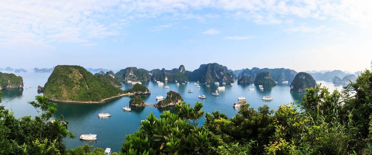 A coastal landscape with numerous boats, lush greenery, and distinctive limestone karsts.