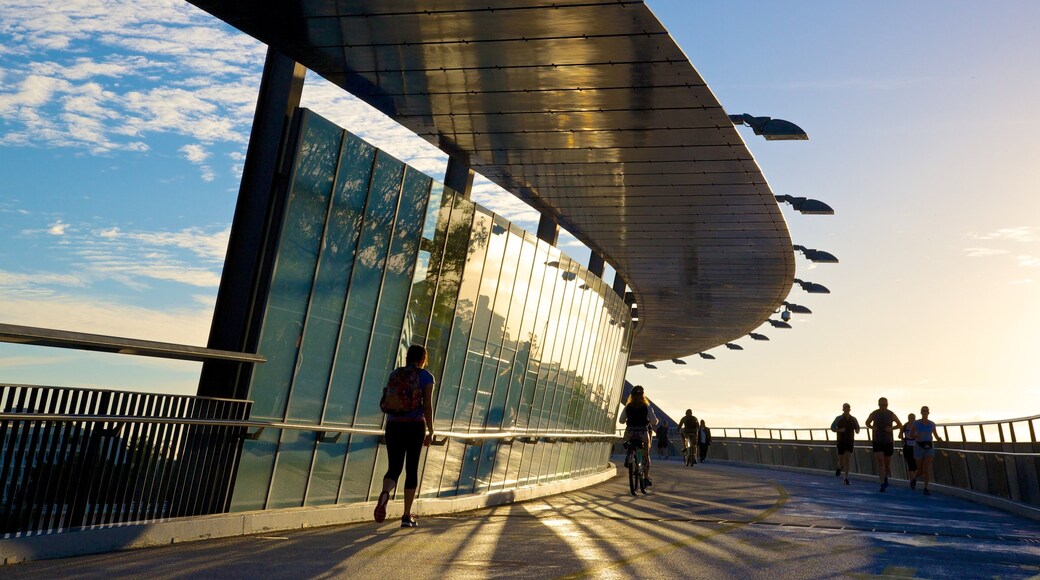 Southbank Parklands featuring a bridge, modern architecture and a city