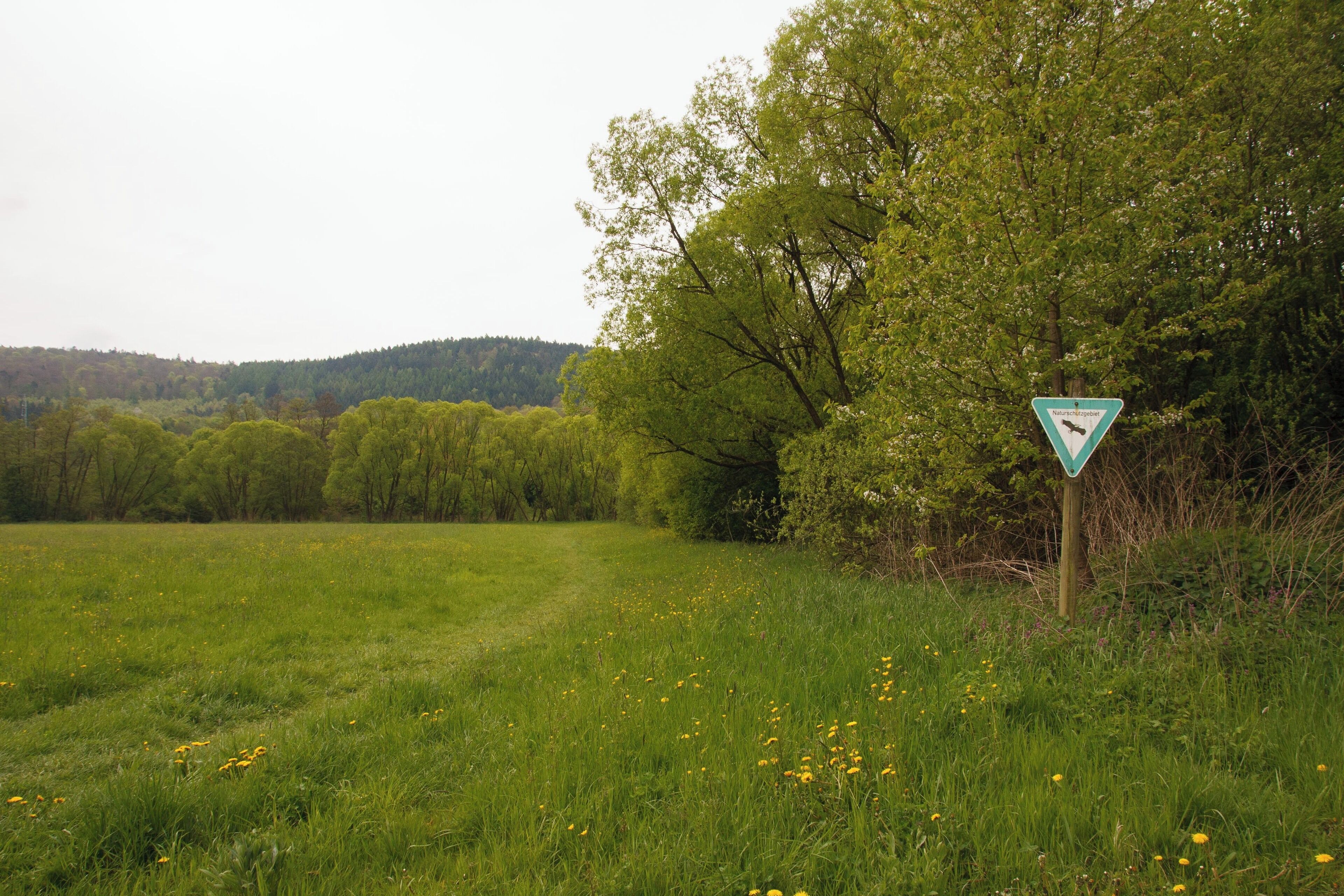 Naturschutzgebiet „Kinzigaue bei Gelnhausen“
