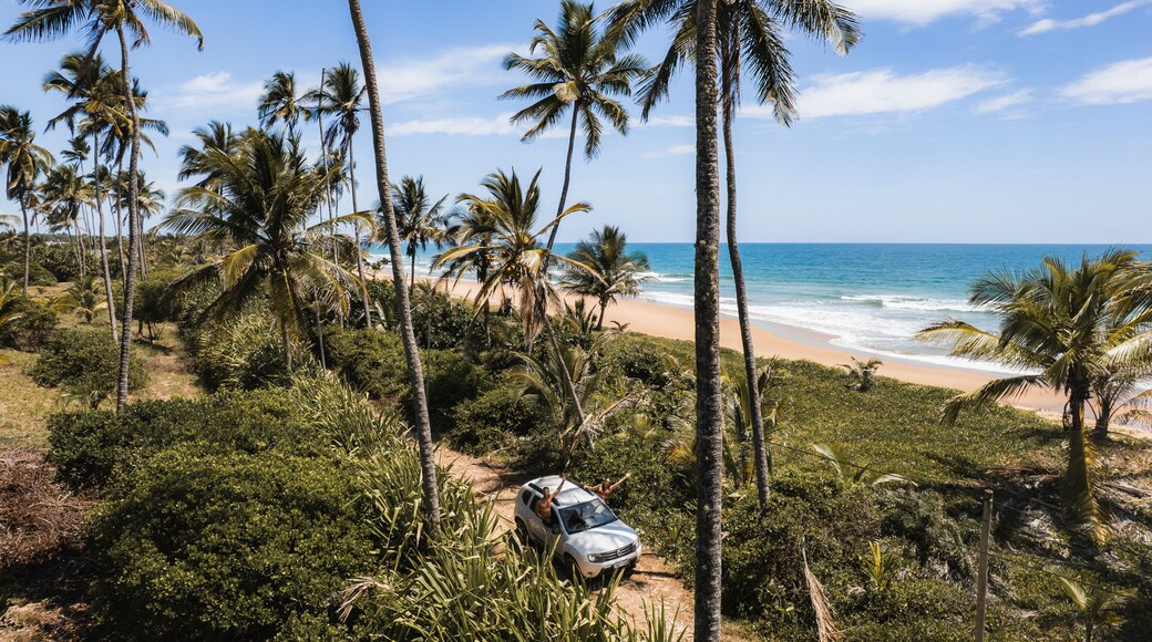 Panoramic aerial view of beaches and lagoon, with a car passing along the Bromeliad Trail, southern coast of Bahia, Maraú Peninsula, Barra Grande, beach with coconut trees, white sand
